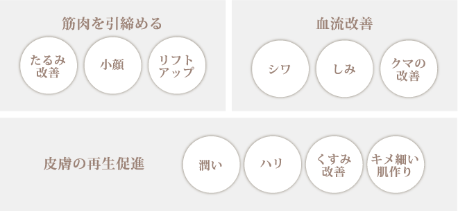 筋肉を引締める 血流改善 皮膚の再生促進